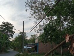 Petugas PLN Tanah Abang Sigap Atasi Gangguan Arus Listriik Tidak stabil. Ini Reaksi Bunyani