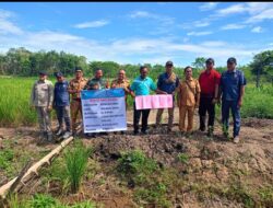 Penetapan Titik Nol, Pembangunan Gedung PKK Dan Normalisasi Danau Desa Muara Sungai