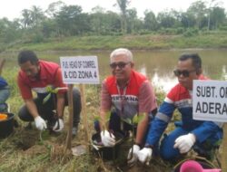 Jaga Kelestarian Bantaran sungai Lematang PT Pertamina EP Adera Field Tanam 2.000 Pohon Mangrove