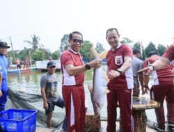 Dukung Misi Asta Cita, Polda Sumsel Panen Raya 2,5 Ton Ikan, Tebar Bibit Puluhan Ribu Ekor.