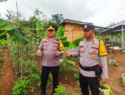 Polsek Talang Ubi Dorong Ketahanan Pangan dan Hijaukan Lingkungan Melalui Pemanfaatan Lahan Tidur