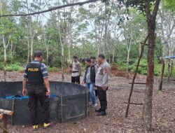 Penggerebekan Arena Sabung Ayam di Desa Air Itam, Polsek Penukal Abab Musnahkan Barang Bukti