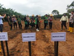 peluncuran Program Penanaman jagung Serentak Di 1 juta Hektar Lahan.