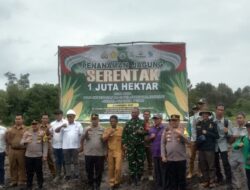 Dukung ketahanan pangan, Tanam Jagung Serentak Di Lahan 1 juta Hektar
