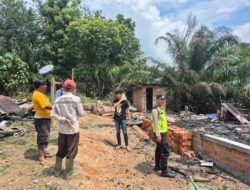Sijago Merah Lalap Satu Rumah Permanen