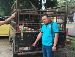Tim Srigala Unit Reskrim Polsek Penukal Abab Berhasil Ungkap Dugaan kasus Pencurian Dua Ekor Sapi