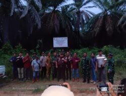 Satgas Penertiban Kawasan Hutan (PKH) Kabupaten PALI Lakukan peninjauan Lapangan