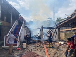 Si Jago Merah Lalap Satu Rumah Di Desa Air Itam