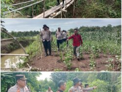 Kapolres PALI Tinjau Lahan Tanam Jagung Serentak Nasional