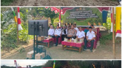 Polres PALI Dukung Ketahanan Pangan Nasional, Tanam Jagung Serentak di Lahan Perhutanan Sosial Tanah Abang