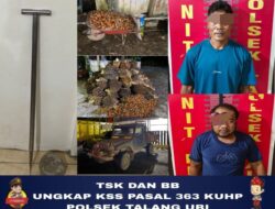 Polsek Talang Ubi Tangkap Dua Pencuri Sawit, 132 Tandan Diamankan