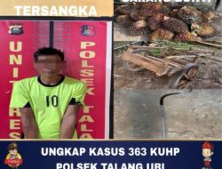 Polsek Talang Ubi Bekuk Pelaku Pencurian Sawit di PT. Surya Bumi Agrolanggeng