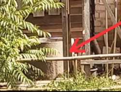Ditemukan di Sumur Kebun, Wartawan Senior Babel Tewas Penuh Luka Sayatan*
