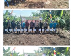 Sinergi Desa Raja Barat dan Pemerintah, Dukung Program Ketahan Pangan Nasional dengan Budidaya Jagung Hibrida