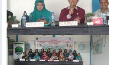 Kader Posyandu Desa Bumi Ayu Dibekali Pelatihan, Dorong Pelayanan Kesehatan Lebih Maksimal