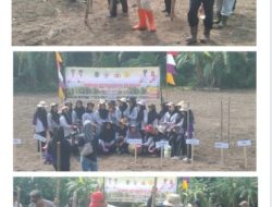 Desa Raja Tanam Jagung Hibrida, Harapan Baru untuk Ekonomi Warga