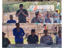 Ketahanan Pangan Nasional, Desa Muara Dua Tanam Jagung Hibrida