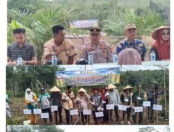 Wujudkan Program ketahanan pangan, Desa Tanah Abang Utara Tanam Jagung Hibrida