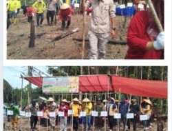 Bumdes dan Pemdes Tanah Abang Selatan Tanam Jagung Hibrida untuk Perkuat Ketahanan Pangan Desa