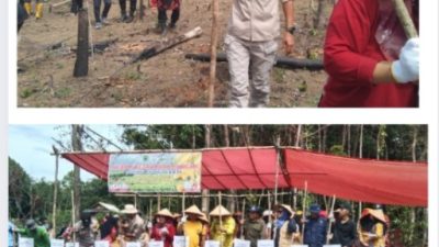 Bumdes dan Pemdes Tanah Abang Selatan Tanam Jagung Hibrida untuk Perkuat Ketahanan Pangan Desa