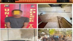 Empat Pelaku Curi Sawit, Satu Ditangkap, Tiga Masih Dalam Pengejaran