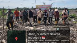 Dorong Produktivitas Pertanian, Polsek Penukal Abab Kawal Program Tanam Jagung