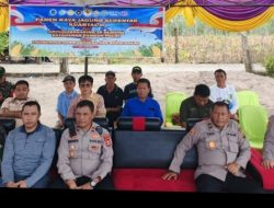 Panen Jagung Kuartal II Tahun 2026 di Abab Berlangsung Aman dan Kondusif