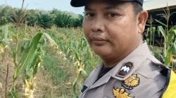 Upaya Ketahanan Pangan, Polisi Lakukan Pengecekan Lahan Pertanian