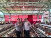 Brigadir Rahmad Bangun Usaha Ternak Ayam Petelur, Jadi Contoh bagi Masyarakat