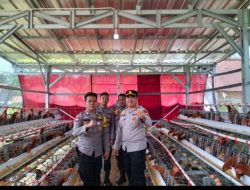 Brigadir Rahmad Bangun Usaha Ternak Ayam Petelur, Jadi Contoh bagi Masyarakat
