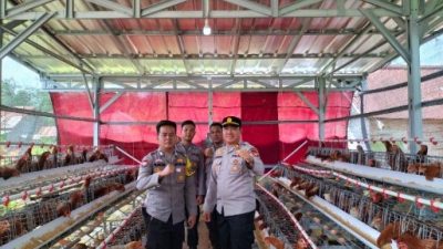 Brigadir Rahmad Bangun Usaha Ternak Ayam Petelur, Jadi Contoh bagi Masyarakat
