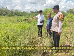 Polisi Sambangi Lahan Pertanian Jagung di Sungai Baung, Pastikan Tanaman Tumbuh Baik