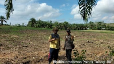 Ketahanan Pangan di PALI, Polisi Sambangi Lahan Jagung Kelompok Tani