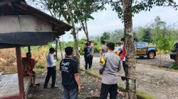 Polres PALI Pastikan Kesiapan Panen Jagung Serentak di Desa Betung Barat