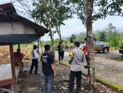 Polres PALI Pastikan Kesiapan Panen Jagung Serentak di Desa Betung Barat