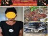 Polsek Talang Ubi Ungkap Kasus Pencurian Sawit, Seorang Terduga Pelaku Ditangkap di Lokasi