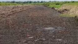 LSM Macan Ultimatum DLH PALI, Ancam Aksi Besar Jika Kasus Pencemaran Tak Dijelaskan