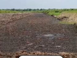 LSM Macan Ultimatum DLH PALI, Ancam Aksi Besar Jika Kasus Pencemaran Tak Dijelaskan