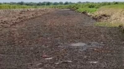 LSM Macan Ultimatum DLH PALI, Ancam Aksi Besar Jika Kasus Pencemaran Tak Dijelaskan