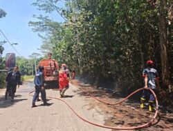 Kebakaran Lahan di Jalan Lingkar Talang Ubi Berhasil Dipadamkan, Damkar Imbau Warga Tak Bakar Sampah Sembarangan
