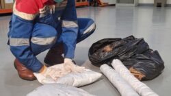 Inovasi Ramah Lingkungan, Pertamina EP Prabumulih Olah Limbah Sabut Kelapa Jadi Alat Penunjang Keandalan Operasi