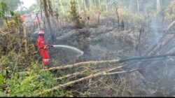 Jaga Keselamatan Bersama, PHR Zona 4 Respon Cepat Padamkan Lebih dari 100 Titik Api Karhutla Sumsel
