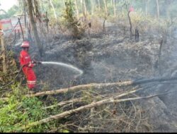 Jaga Keselamatan Bersama, PHR Zona 4 Respon Cepat Padamkan Lebih dari 100 Titik Api Karhutla Sumsel