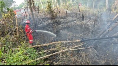 Jaga Keselamatan Bersama, PHR Zona 4 Respon Cepat Padamkan Lebih dari 100 Titik Api Karhutla Sumsel